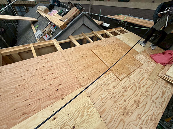 �{�H���ʐ^