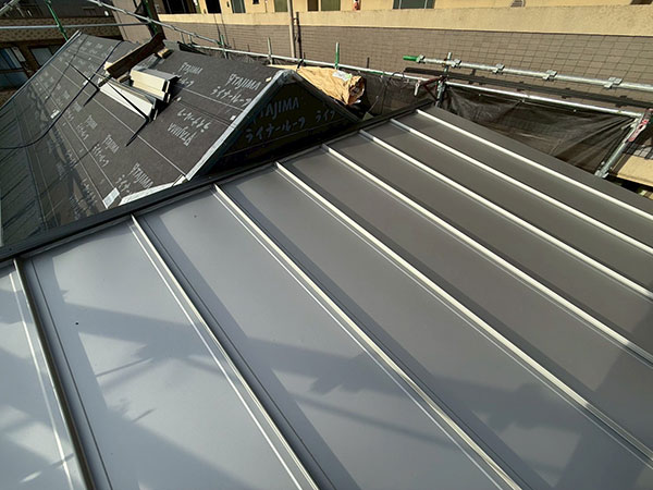 �{�H���ʐ^