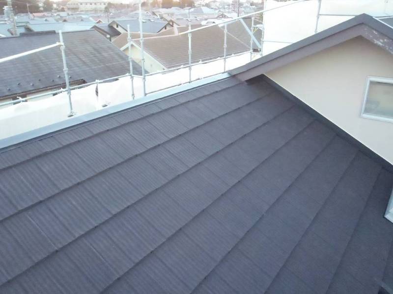 ��t�����s