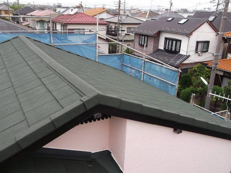 �_�ސ쌧������s