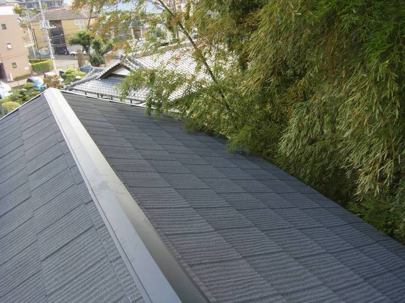 ���l�s�t��