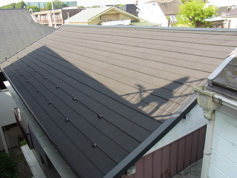 �����s���c�J��