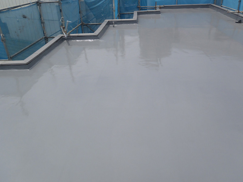 �����s�V�h��