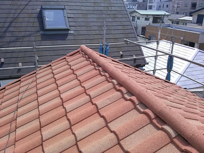 �����s������