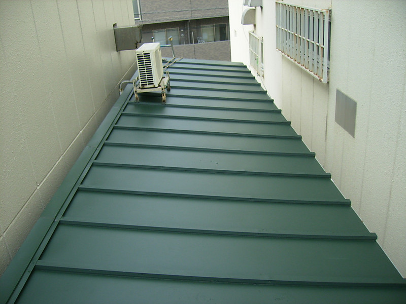 �_�ސ쌧���l�s