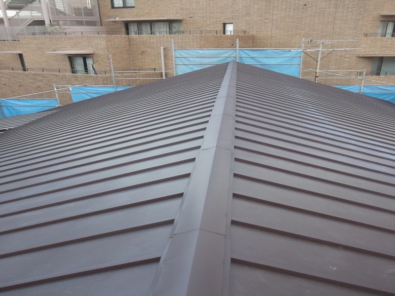 �����s�V�h��