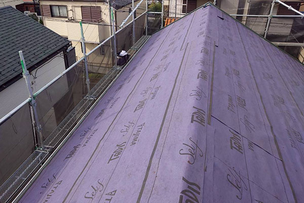 �{�H���ʐ^