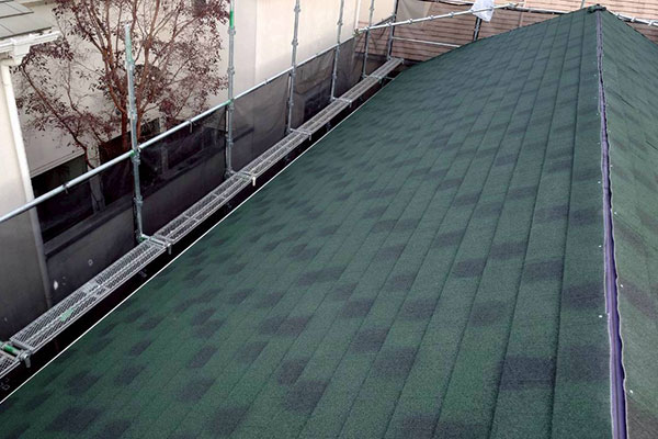 �{�H���ʐ^