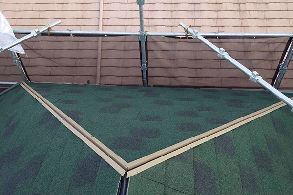 �{�H���ʐ^