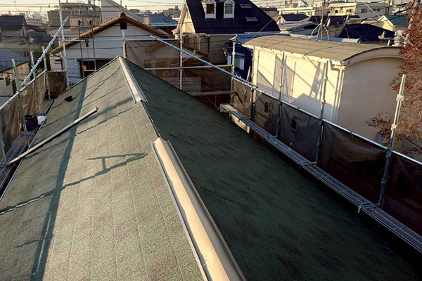 �{�H���ʐ^