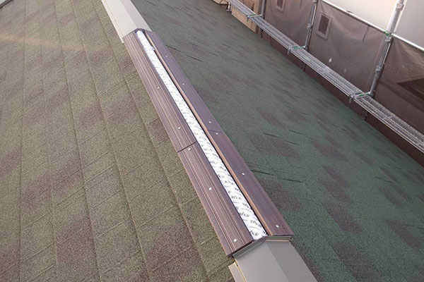 �{�H���ʐ^