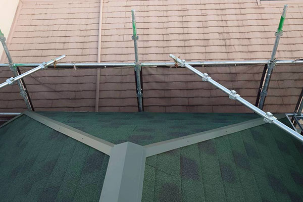 �{�H���ʐ^