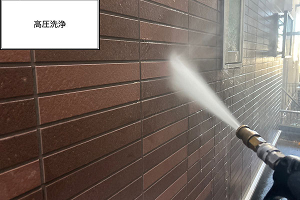 �{�H���ʐ^