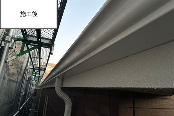 �{�H���ʐ^