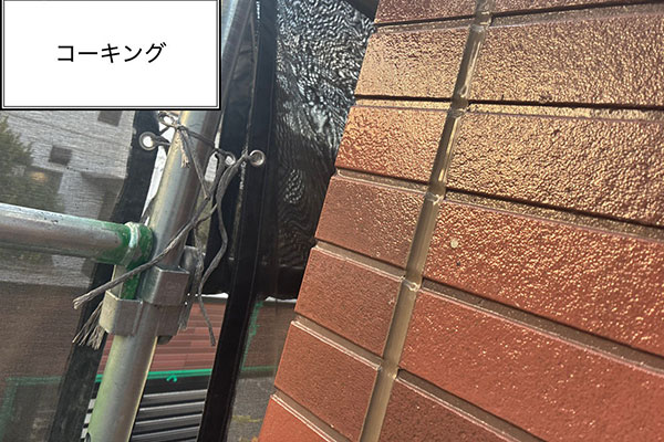 �{�H���ʐ^