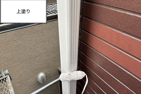 �{�H���ʐ^