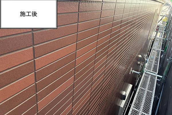 �{�H���ʐ^