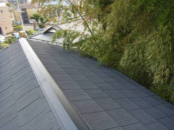 ���l�s�t��