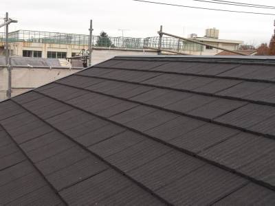 �����s���c�J��