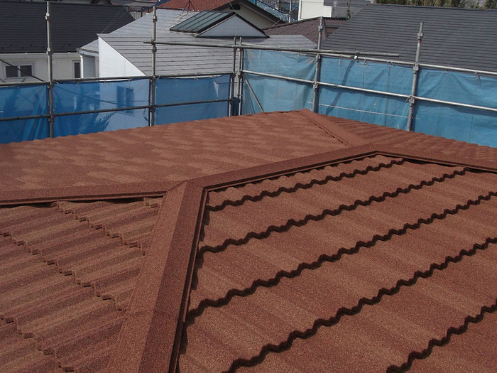 �_�ސ쌧�C�V���s