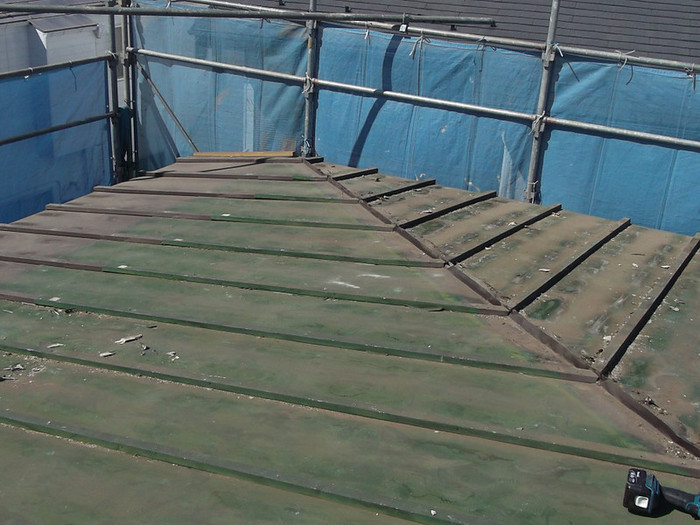 �����s������