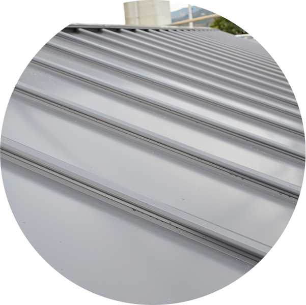 ���_��������