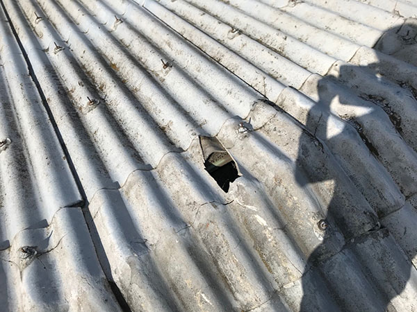 �g�^�X���[�g����