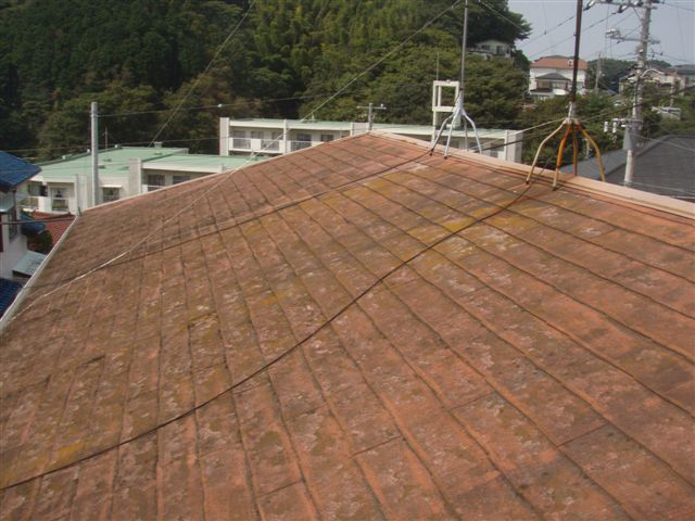 Before Before