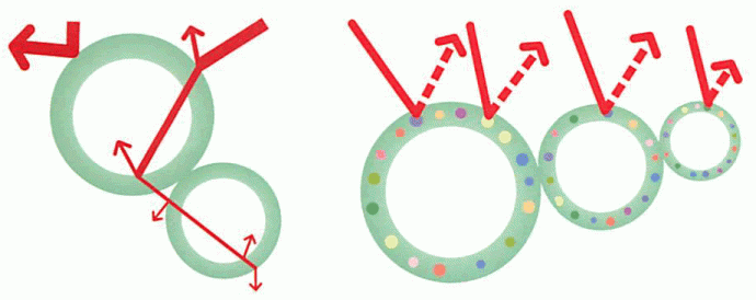 �K�C�i�ՔM�̃��J�j�Y��